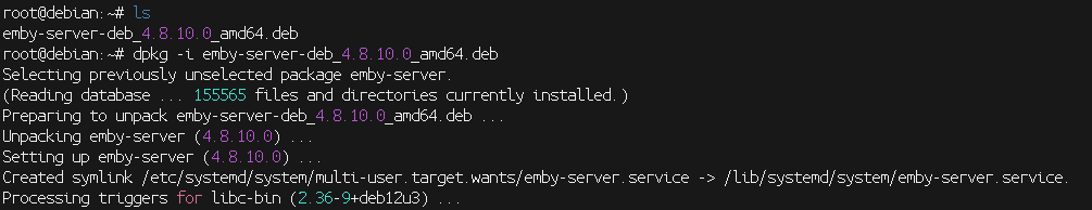 image-20241210193109089