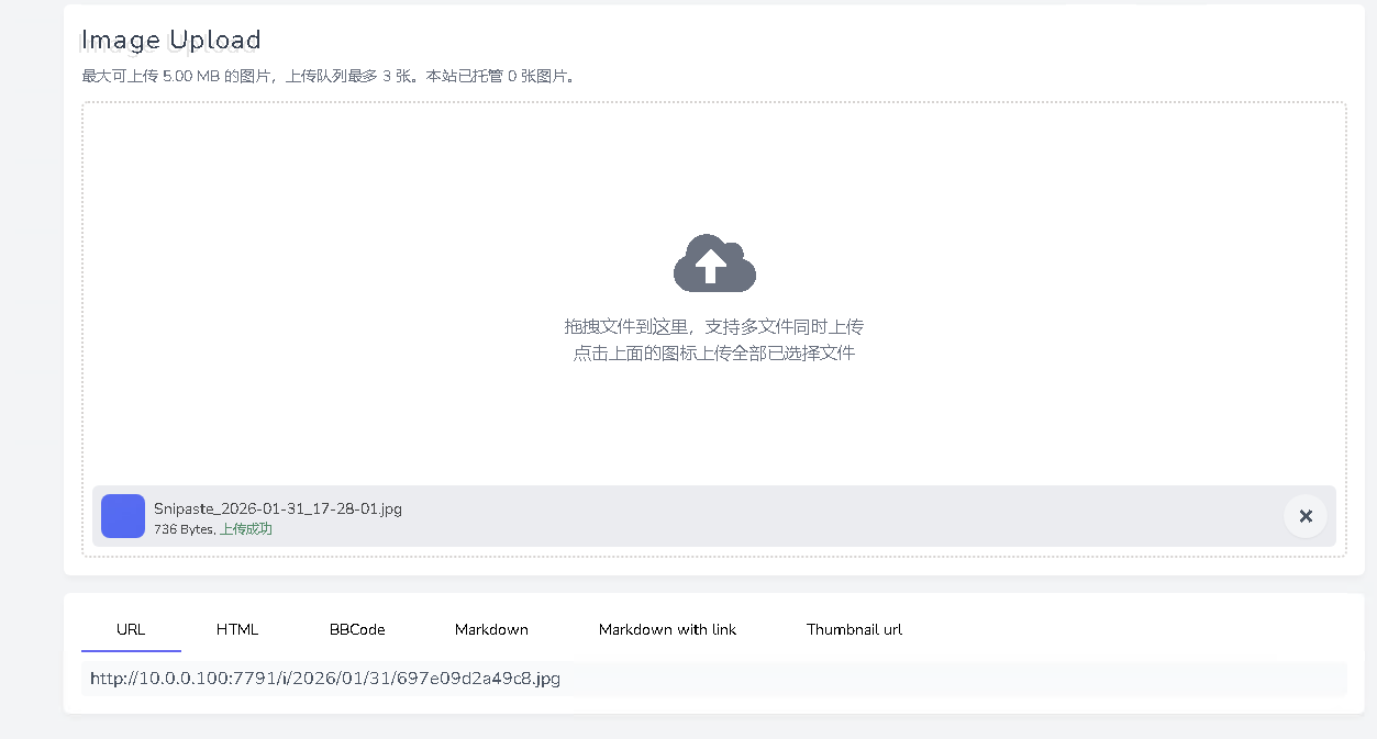 image-20260131215553822